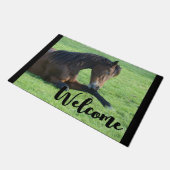 Paillasson Joli Cheval Brown allongé dans l'herbe Bienvenue (Incliné)