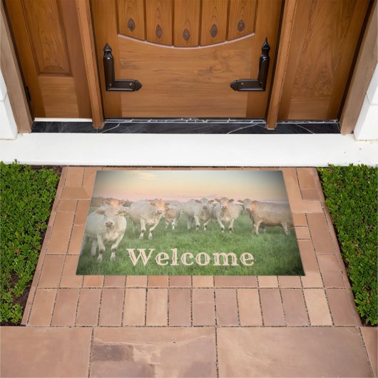 Paillasson Joli Pastel Charolais Cattle in Pastel (De plein air)