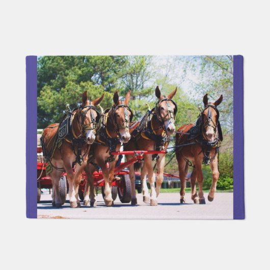 Paillasson jours de mule (Devant)