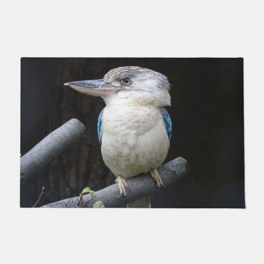 Paillasson Kookaburra à ailes bleues (Devant)