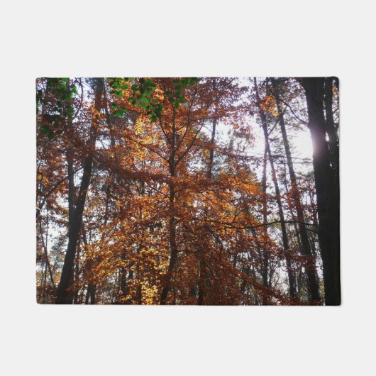 Paillasson La lumière du soleil dans l'arbre d'automne de la (Devant)