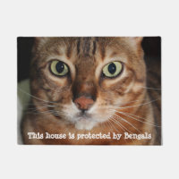 La photographie "maison de visage de chat du