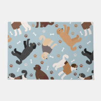 Labradoodle / Os et pattes Goldendoodle