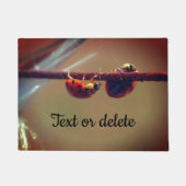 Paillasson Ladybugs Équilibrer gros plan Personnalisé (Devant)