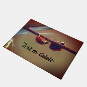 Paillasson Ladybugs Équilibrer gros plan Personnalisé