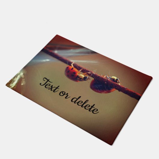 Paillasson Ladybugs Équilibrer gros plan Personnalisé (Incliné)