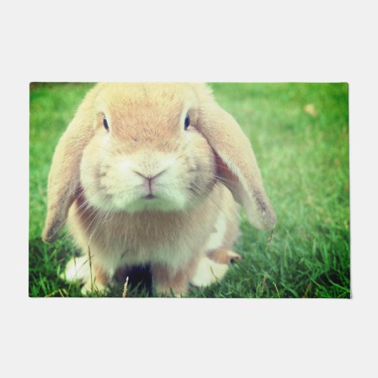 Paillasson Lapin (Devant)