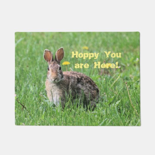Paillasson Lapin (Devant)