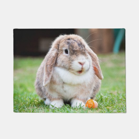 Paillasson lapin à oreilles de lop mignon (Devant)
