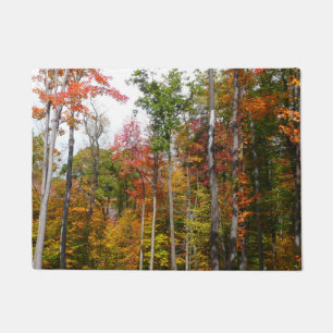 Paillasson L'automne dans la forêt Photographie d'automne col