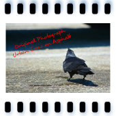 Paillasson Le Corbeau de Poe attend sur le