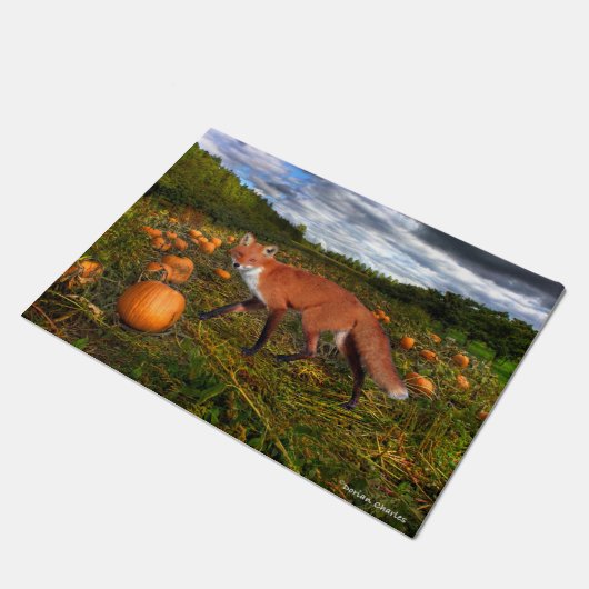 Paillasson "Le Fox d'octobre" (Incliné)