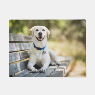 Paillasson Le Labrador Jaune Est Sur Le Banc