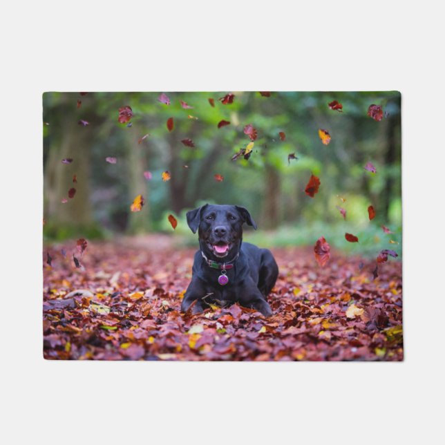 Paillasson Le Labrador Noir Dans Les Feuilles D'Automne (Devant)
