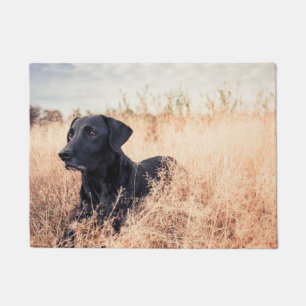 Paillasson Le Labrador Noir En Graine Sèche