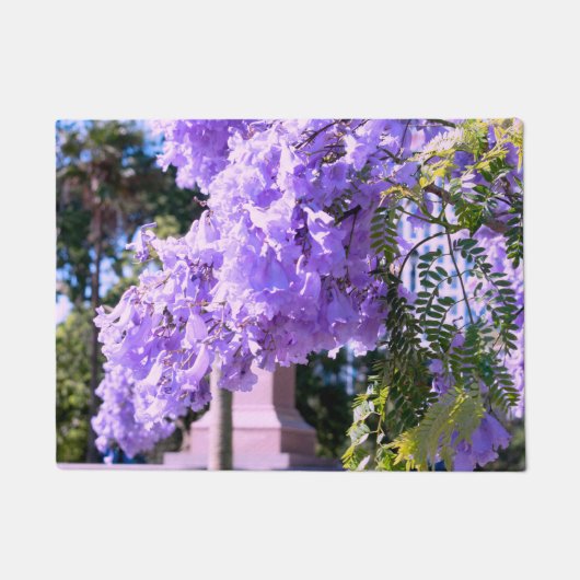 Paillasson Le Princess Tree violet d'Auckland (Devant)