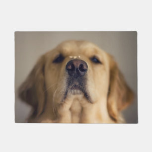 Paillasson Le Retriever balancer le nez