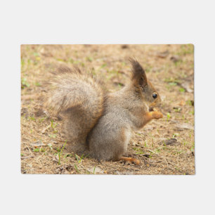 Paillasson L'écureuil mignon mange une photo de noix
