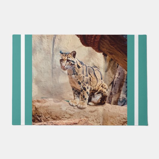 Paillasson léopard nébuleux image nature faune exotique (Devant)