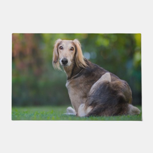 Paillasson Lévrier Saluki. (Devant)