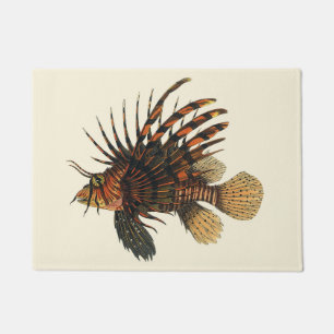 Paillasson Lionfish Poisson, Vieille Marine Vie Océanique Ani