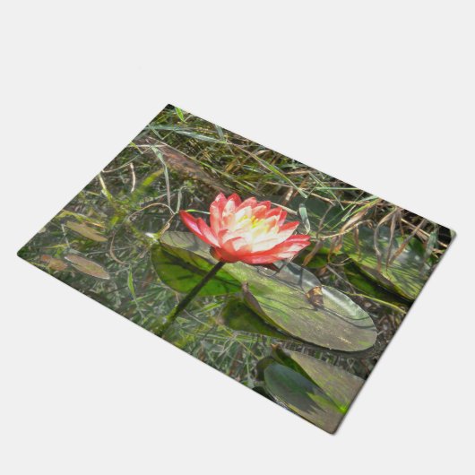 Paillasson Lis de pastèque (Incliné)