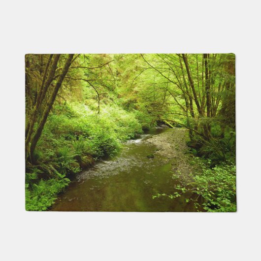 Paillasson Lost Man Creek I au Redwood National Park (Devant)