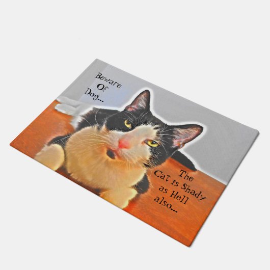 Paillasson louche de chat (Incliné)