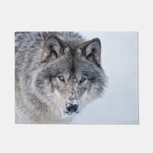 Paillasson Loup de bois (Devant)