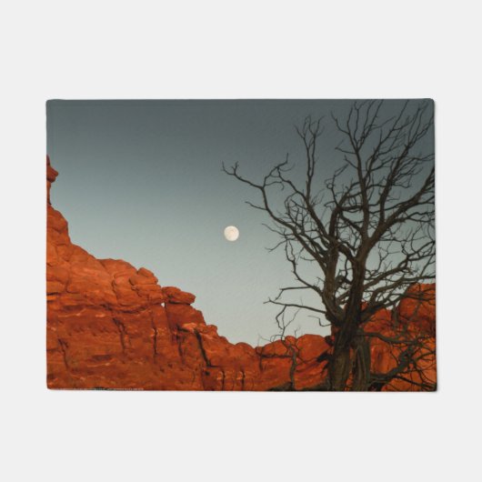 Paillasson Lune mauvaise (Devant)