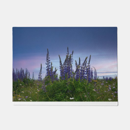 Paillasson Lupins (Devant)