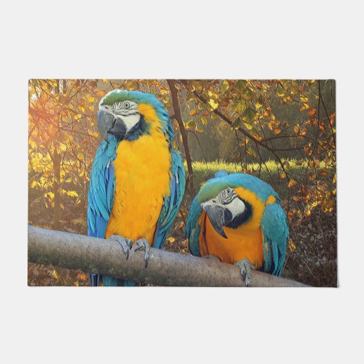 Paillasson macaws (Devant)