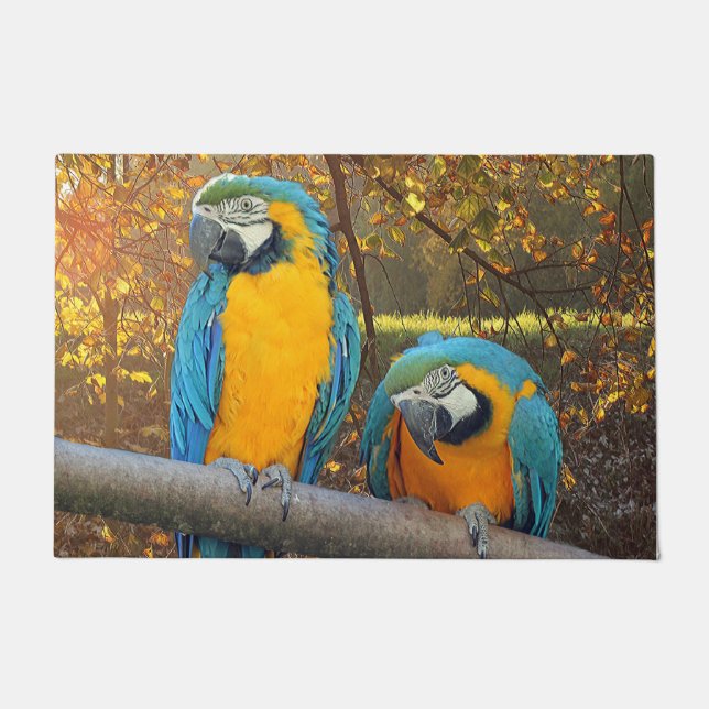 Paillasson macaws (Devant)