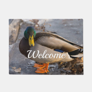 Paillasson Mallard Sur La Porte D'Accueil De Glace