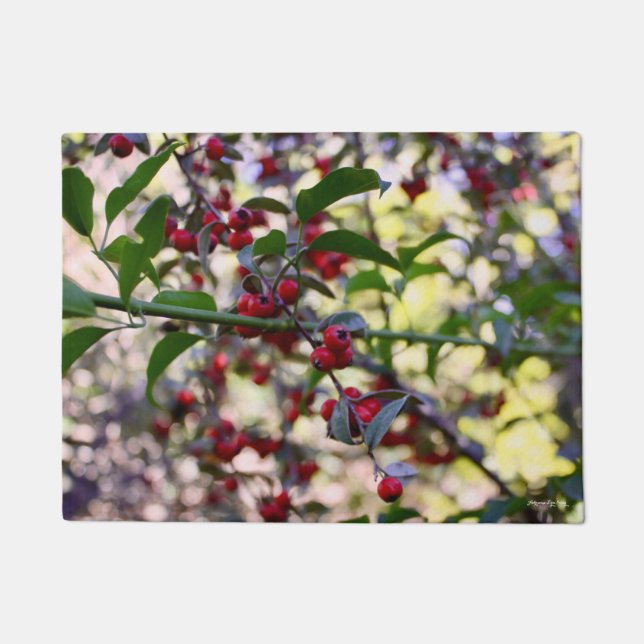 Paillasson Mat de porte de Noël/d'hiver (Devant)