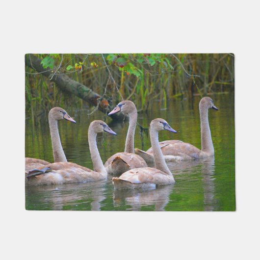 Paillasson Mat Porte de Swan (Devant)