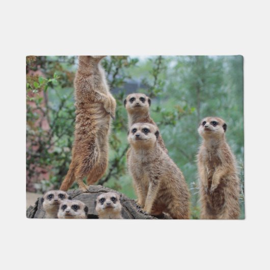 Paillasson Meerkat_003 (Devant)