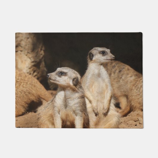 Paillasson Meerkat 003 (Devant)