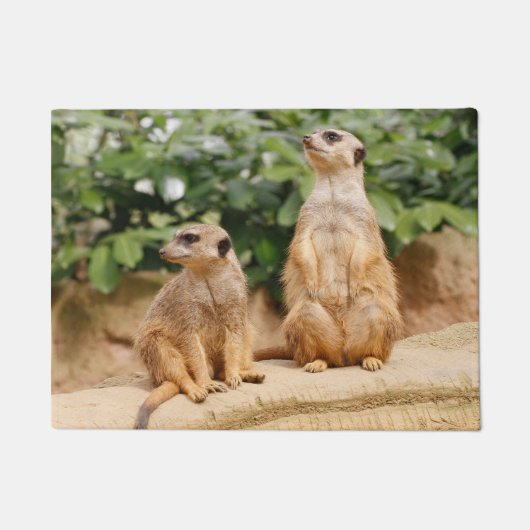 Paillasson Meerkat 009 (Devant)