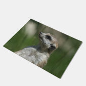 Paillasson Meerkat 015 (Incliné)