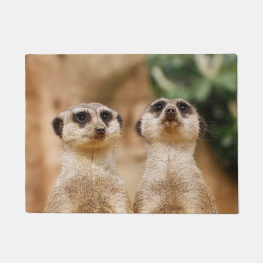 Paillasson Meerkat 017 (Devant)