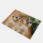 Paillasson Meerkat 017 (Incliné)