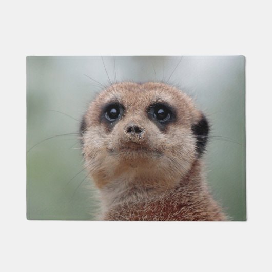 Paillasson Meerkat 020 (Devant)