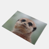 Paillasson Meerkat 020 (Incliné)