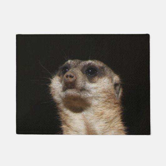 Paillasson Meerkat 032 (Devant)