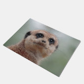 Paillasson Meerkat 036 (Incliné)