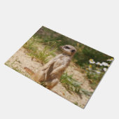Paillasson Meerkat 038 (Incliné)
