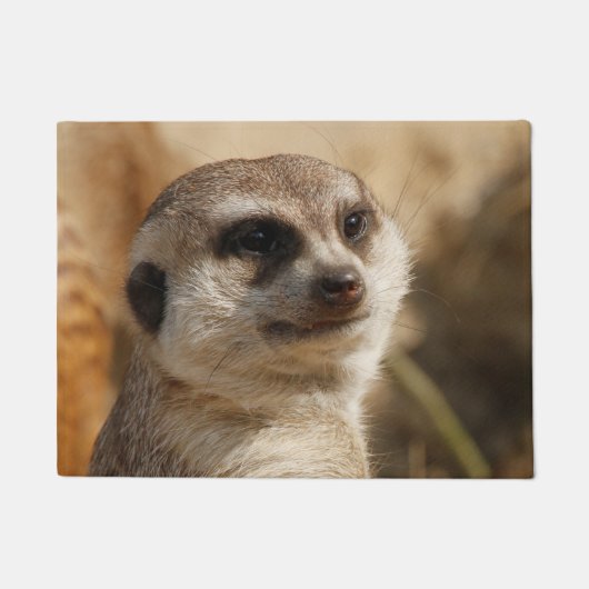 Paillasson Meerkat 041 (Devant)