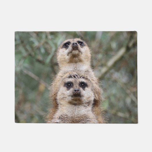 Paillasson Meerkat 081 (Devant)