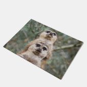 Paillasson Meerkat 081 (Incliné)